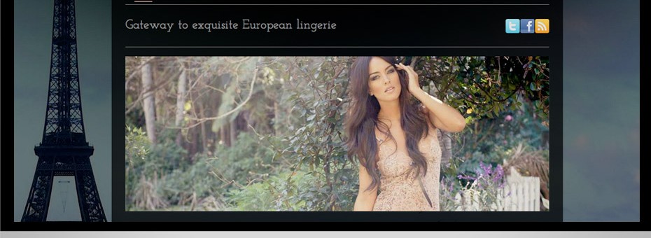 sunshine coast based e-commerce wordpress custom website for House of Lingerie shopping cart