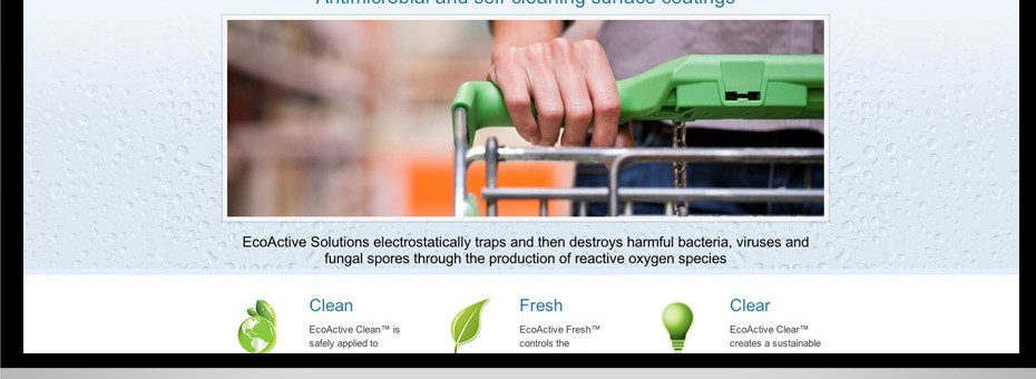 Sunshine Coast Business website for EcoActive Solutions